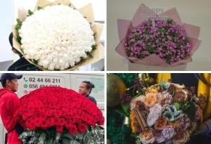 Blooming Beauty: Amaryllis Flowers, the Best Flower Shop in Abu Dhabi